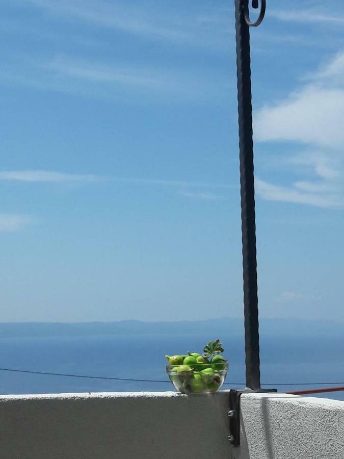 Mala Cele Διαμέρισμα Podgora Εξωτερικό φωτογραφία